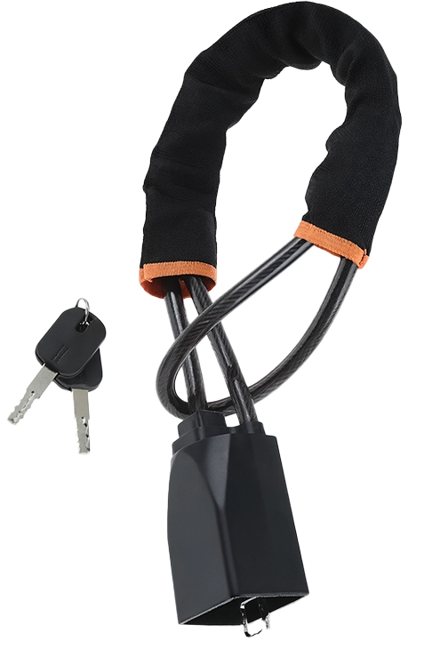 VigiLock product image and its keys